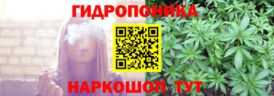 прущие крисы Ипатово