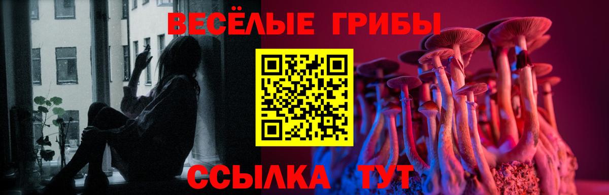 Псилоцибиновые грибы Psilocybine cubensis  Вход с VPN  Нурлат 
